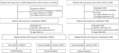Construction and validation of a novel web-based nomogram for patients with lung cancer with bone metastasis: A real-world analysis based on the SEER database